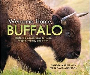 Welcome Home, Buffalo Restoring Connections Between People, Prairie, and Bison - Sandra Markle - Millbrook Press ™ - ebook (ePub) - Livre