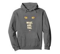 Welcome to Derry What are You Sweat à Capuche, Unisexe pour Adultes, Asphalte, S
