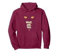 Welcome to Derry What are You Sweat à Capuche, Unisexe pour Adultes, Marron, XXL