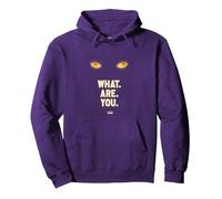 Welcome to Derry What are You Sweat à Capuche, Unisexe pour Adultes, Violet, XXL