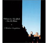 Welcome to NY Now Go Home