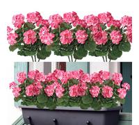Weldomcor Lot de 6 Fleurs Artificielles de GéRanium en Soit avec Feuilles Mortes RéAlistes Balcon Fleurs Plantes Artificielle pour Jardin Maison Bureau FêTe Mariage Centre de Table (Rose)