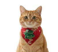 Weldphur Collier De Déguisement De Noël Chat - Costume De Fête Élastique pour Déguisement d'animal De Compagnie - Bandana De Noël Chien | pour Les Rassemblements Familiaux Les Séances Photo Les Fêtes