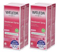 WELEDA Déodorant Spray à la Rose Musquée Set(S) 2x200 ml