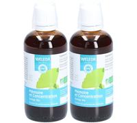 Weleda EPB Ginkgo Bio Mémoire et Concentration Solution Orale 2x100 ml