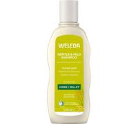 Weleda Shampoing Usage Fréquent au Millet - 190 ml
