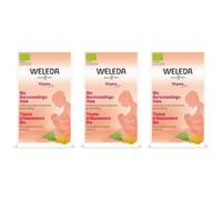 Weleda Tisane Allaitement Bio Sachet(S) 3x20x2 g