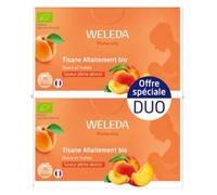 Weleda Tisane Allaitement Douce et Fruitée Pêche Abricot Bio Lot de 2 x 20 Sachets