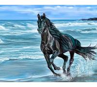 WELIWE 5D Broderie Diamant DIY Diamonds Painting Kit Mosaïque Canevas Strass Peinture Murale pour Adultes Debutant Décoration cheval noir de plage 40x50cm