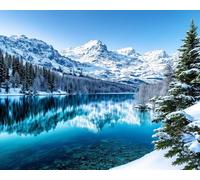 WELIWE 5D Broderie Diamant paysage de montagne enneigé DIY Diamonds Painting Kit Mosaïque Canevas Strass Peinture Murale pour Adultes Debutant Décoration -40x50 cm