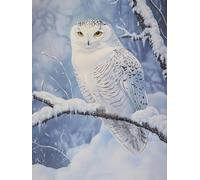 WELIWE 5D Diamond Painting DIY Broderie Numéros Diamant Peinture Kit Complet Strass Arts Pour Enfants Adultes Décoration Murale Harfang des neiges 40x50 cm