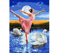 WELIWE 5D Diamond Painting DIY Broderie Numéros Diamant Peinture Kit Complet Strass Arts Pour Enfants Adultes Décoration Murale Danseuse 40x50 cm