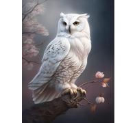 WELIWE 5D Diamond Painting DIY Broderie Numéros Diamant Peinture Kit Complet Strass Arts Pour Enfants Adultes Décoration Murale hibou 40x50 cm