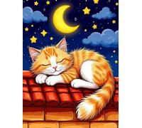 WELIWE 5D Diamond Painting DIY Broderie Numéros Diamant Peinture Kit Complet Strass Arts Pour Enfants Adultes Décoration Murale Chat endormi 40x50 cm