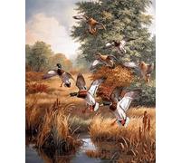 WELIWE Broderie Point de Croix Canevas Kits 11CT Adulte Debutant Pré Imprimé Point de Croix Kit Complet DIY Décoration d'intérieur canard sauvage 40x50cm