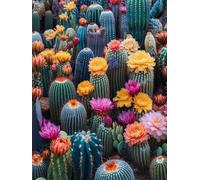 WELIWE Point de Croix Broderie Kits de Couture à la Main Bricolage 11CT Estampé pour Les Débutants Kit de Broderie Pré-imprimé Motif Fleur de cactus 40x50 cm