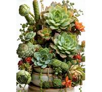 WELIWE Point de Croix Broderie Kits de Couture à la Main Bricolage 11CT Estampé pour Les Débutants Kit de Broderie Pré-imprimé Motif Plantes succulentes 40x50 cm