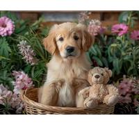 WELIWE Point de Croix Broderie Kits de Couture à la Main Bricolage 11CT Estampé pour Les Débutants Kit de Broderie Pré-imprimé Motif Chien de compagnie 40x50 cm