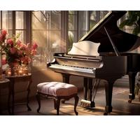 WELIWE Pré-imprimé Kit Broderie Point de Croix 11CT Collection Complète de Broderie Kit D'entrée de Gamme Adulte Débutant avec Fils Set Facile piano 40x50 cm