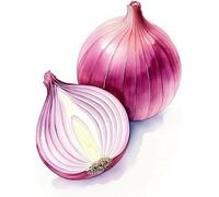 WELIWE5D Broderie Diamant DIY Diamonds Painting Kit Mosaïque Canevas Strass Peinture Murale pour Adultes Debutant Décoration Oignon potager 40x50 cm