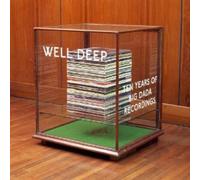 Well Deep : 10Years of Big Dada [帯解説・国内仕様輸入盤 / 2CD] (BRBD100)