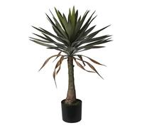 Well Home Plante de Yucca en Pot H.90 cm