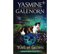 Well of Secrets: A Paranormal Women's Fiction Novella