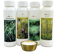 well2wellness Huiles essentielles "Classique 3" Sauna Infusion set de 4 x 125 ml eucalyptus, épicéa, pin et bouleau