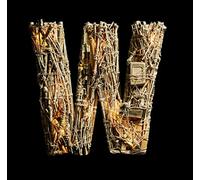 Wellbad - Bad Habits [Import]