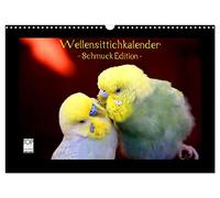 Wellensittichkalender - Schmuck Edition (Wandkalender 2026 DIN A3 quer), CALVENDO Monatskalender: Mit dem brandneuen Wellensittichkalender des ... Wellensittich-Liebhaber begeistern wird!