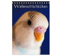 Wellensittichküken (Tischkalender 2026 DIN A5 hoch), CALVENDO Monatskalender: 12 niedliche Welliküken lassen das Herz eines jeden Wellensittich-Freundes höher schlagen! Das ideale Geschenk!