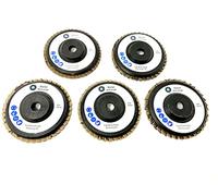 Wellerwerkzeuge Lot de 5 disques à lamelles K : 40/60/80/120/180 76 x 10 mm - Pour mini meuleuse d'angle sans fil comme Bosch GWS 10,8 V 12 V - Pour acier, bois, plastique (5)