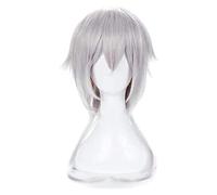 WELLHY Anime Cosplay Perruques COS Anime Touken Ranbu Tsurumaru Kuninaga Cosplay Perruque Argent-Blanc Cheveux Longs Queue KEEBON Coser Perruque