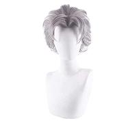 WELLHY Aventure Bizarre d'anime Koichi Hirose Perruque Cosplay Perruque Jeu de rôle Couleur Grise 35 cm KEEBON Coser Perruque