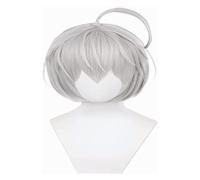 WELLHY Perruque Cosplay Anime Cosplay Costume Perruque Tokyo Revengers Perruque Senju Kawaragi Perruque Argent Gris Bobo Cheveux Courts avec Capuchon de Perruque Gratuit for Halloween Fête Carnaval Vi