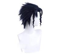 WELLHY Perruque Cosplay Anime 's Bizarre Adventure Cosplay Kujo Jotaro Hommes Noir Bleu Perruque Anime Cosplay Perruque Synthétique Résistante à la Chaleur Halloween for Coser