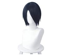 WELLHY Perruque Cosplay Kaguya-sama Love is War Yuu Ishigami Cosplay Perruque Courte Bleu Droite Cosplay Perruques Cheveux Synthétiques Résistant À La Chaleur for Coser