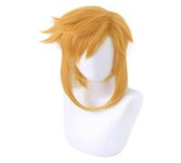 WELLHY Perruque Cosplay La Légende de Breath of The Wild Lien Doré Courte Queue de Cheval Perruque Cosplay Costume Résistant à la Chaleur Perruques de Cheveux Synthétiques for Coser