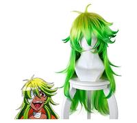 WELLHY Perruque Cosplay Les Chiffres NIKO Cosplay Perruque NIKO Vert Long Cheveux Raides Costumes No. 25 Jaune Dégradé Vert Anti-Warp Cosplay Cheveux Longs for Coser
