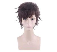 WELLHY Perruque Cosplay Perruques Cosplay My Hero Academia Révision Perruque Eri Baku no Hero Midoriya Shoto Fighter Perruques Cosplay 30cm FLYAND for Coser