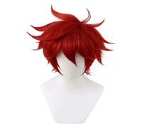 WELLHY SK8 The Reki Kyan Anime Cosplay Perruque (Rouge) Coser Wig