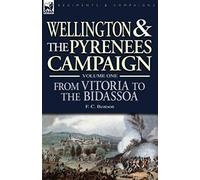Wellington And The Pyrenees Campaign Volume I