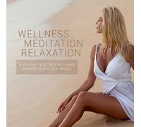 WELLNESS MEDITATAION RELAXATION CD NEUF