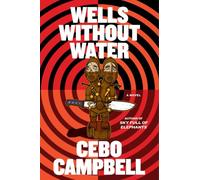 Wells Without Water: A Novel