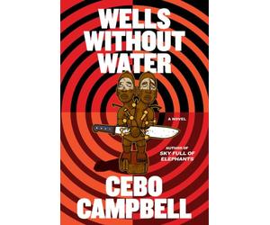 Wells Without Water: A Novel