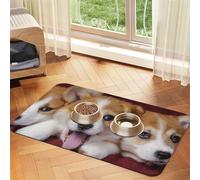 Welsh Corgi Dog,Waterproof Pet Feeding Mat,PU Leather Placemats for Cat Dog Water Bowl,Food Mats,40x60cm