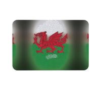 Welsh Dragon Printing Tapis de diatomée 40 x 60 cm Tapis de sol doux d'automne Coussin de douche Dos en caoutchouc antidérapant