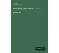 Welsh Fairy-Tales and Other Stories: in large print