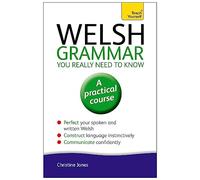 Welsh Grammar You Really Need to Know: Teach Yourself