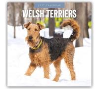Welsh Terriers - Welsh Terrier 2027 - 16-Monatskalender: Original Red Robin Publishing Ltd-Kalender [Mehrsprachig] [Kalender]